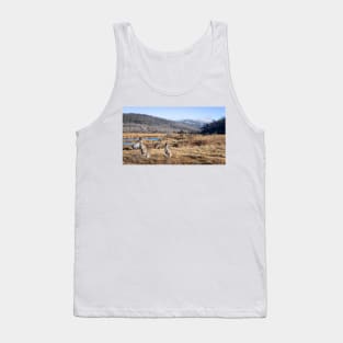 Kangaroos And Mountains Tank Top